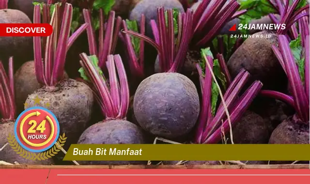 Temukan Manfaat Buah Bit untuk Kesehatan Tubuh Anda