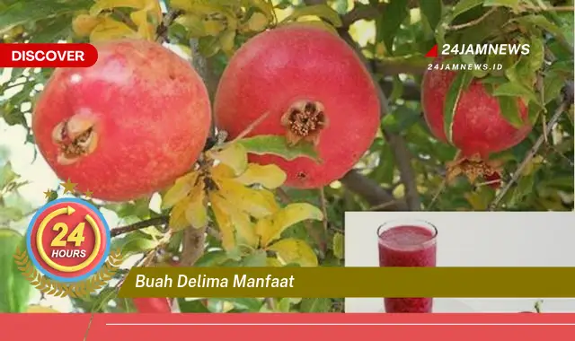 Temukan Manfaat Buah Delima untuk Kesehatan dan Kecantikan Anda
