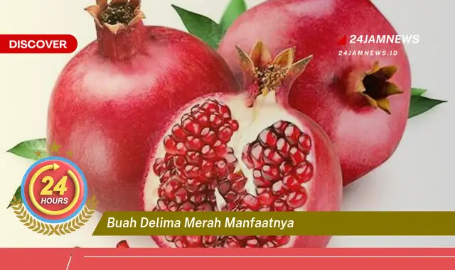Temukan Manfaat Buah Delima Merah untuk Kesehatan dan Kecantikan Anda