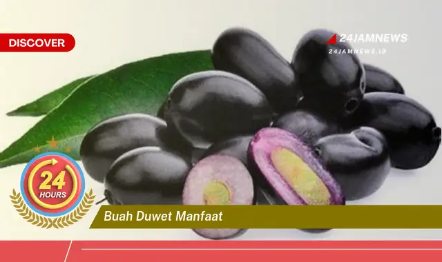 Temukan Manfaat Buah Duwet untuk Kesehatan dan Kecantikan