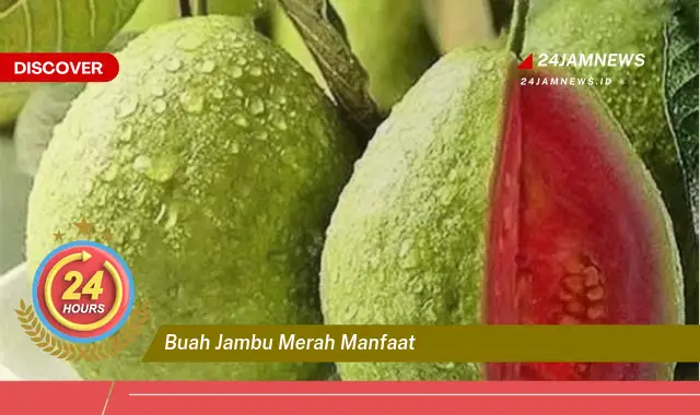 Temukan Manfaat Buah Jambu Merah untuk Kesehatan dan Kecantikan