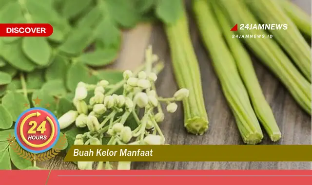 Temukan Manfaat Buah Kelor untuk Kesehatan dan Kecantikan Anda