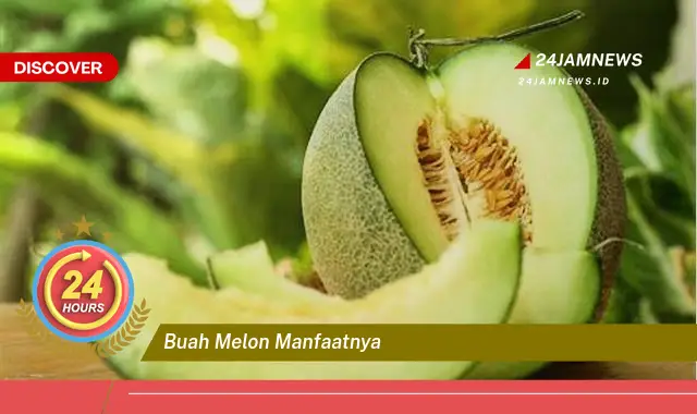 Temukan Manfaat Buah Melon untuk Kesehatan dan Kecantikan Temukan Manfaat Buah Melon untuk Kesehatan dan Kecantikan