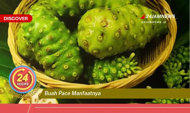 Temukan Manfaat Buah Pace untuk Kesehatan Tubuh Anda