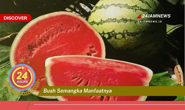 Temukan Manfaat Buah Semangka untuk Kesehatan Tubuh Anda