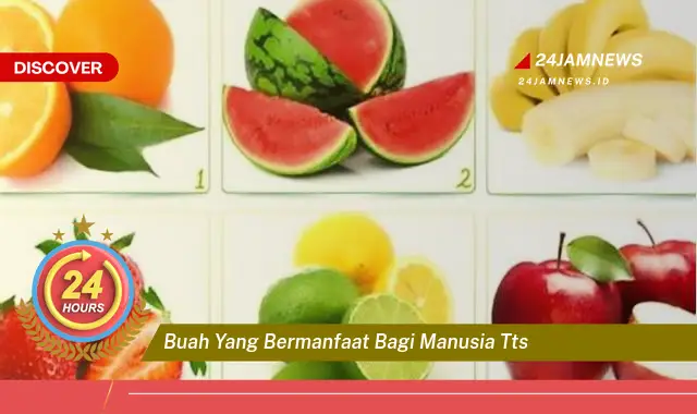 Temukan Manfaat Buah yang Bermanfaat bagi Manusia, Daftar Lengkap Buah Sehat dan Kandungan Gizinya