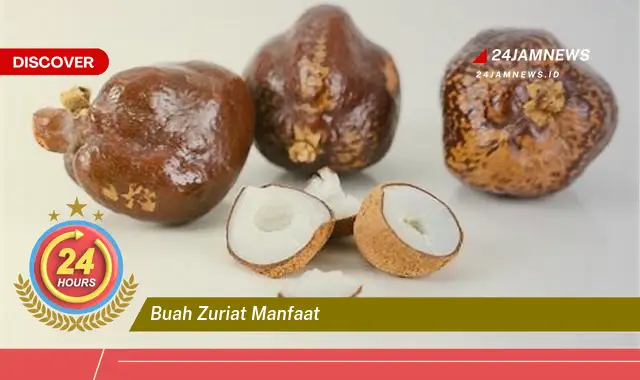 Temukan Manfaat Buah Zuriat untuk Kesuburan, Promil, dan Kesehatan Lainnya