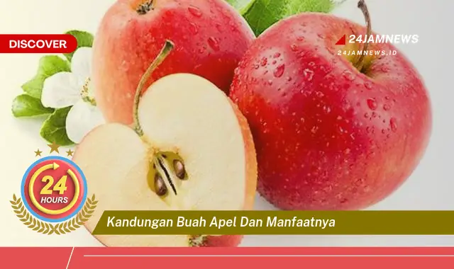 Temukan Kandungan Buah Apel dan Manfaatnya untuk Kesehatan Anda