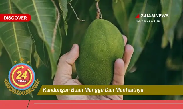 Temukan Manfaat Kandungan Buah Mangga untuk Kesehatan Tubuh Anda