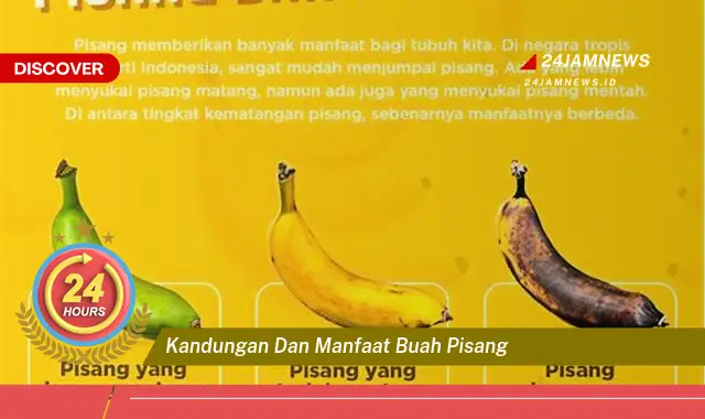 Temukan Kandungan dan Manfaat Buah Pisang untuk Kesehatan Tubuh Anda