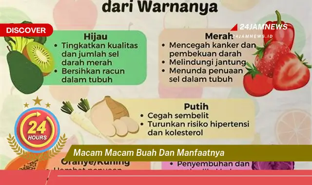 Temukan Manfaat Macam Macam Buah untuk Kesehatan dan Kecantikan Anda