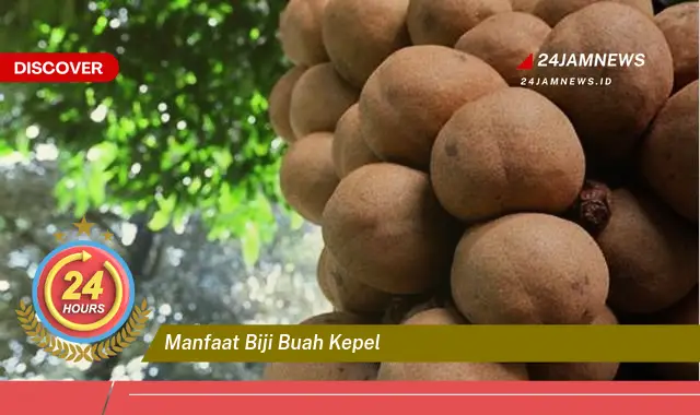 Temukan Manfaat Biji Buah Kepel untuk Kesehatan dan Kecantikan Anda