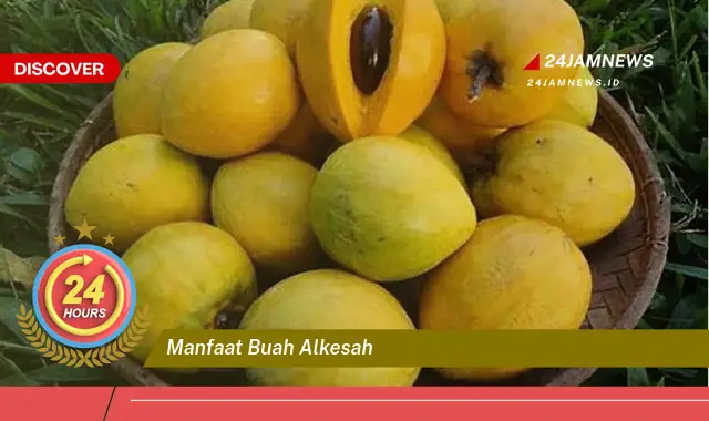 Temukan Manfaat Buah Alkesah untuk Kesehatan Anda yang Luar Biasa