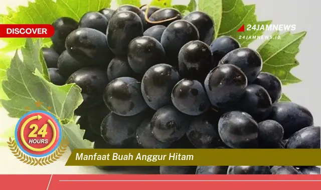 Temukan Manfaat Buah Anggur Hitam untuk Kesehatan Anda