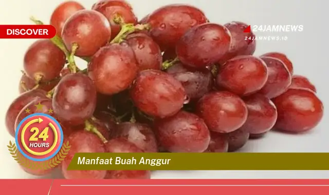 Temukan Manfaat Buah Anggur untuk Kesehatan Tubuh Anda