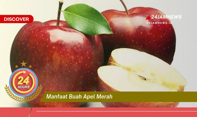 Temukan Manfaat Buah Apel Merah untuk Kesehatan Tubuh Anda Temukan Manfaat Buah Apel Merah untuk Kesehatan Tubuh Anda
