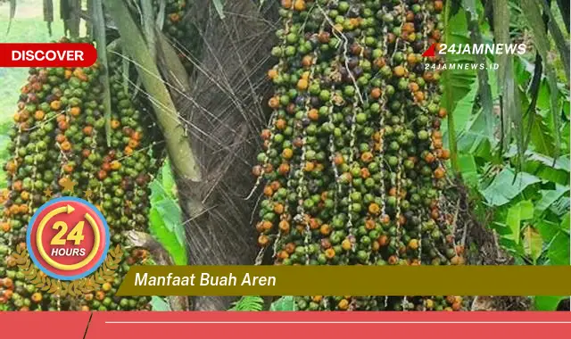 Temukan Manfaat Buah Aren untuk Kesehatan, Dari Meningkatkan Energi Hingga Menjaga Imunitas