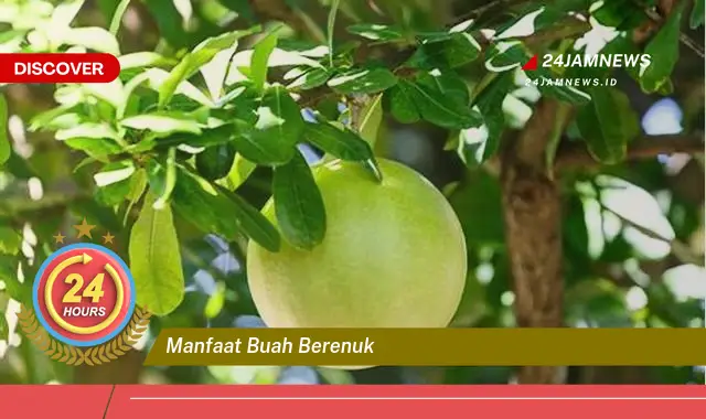 Temukan Manfaat Buah Berenuk untuk Kesehatan Anda yang Luar Biasa