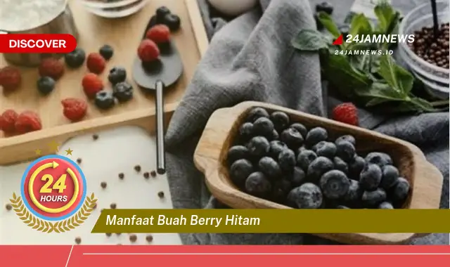 Temukan Manfaat Buah Berry Hitam untuk Kesehatan Anda