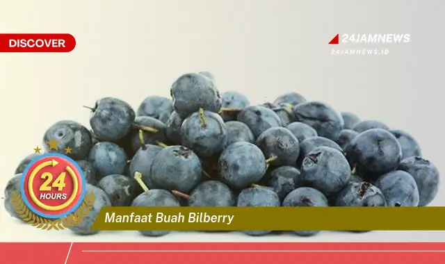 Temukan Manfaat Buah Bilberry untuk Kesehatan Mata dan Tubuh Anda