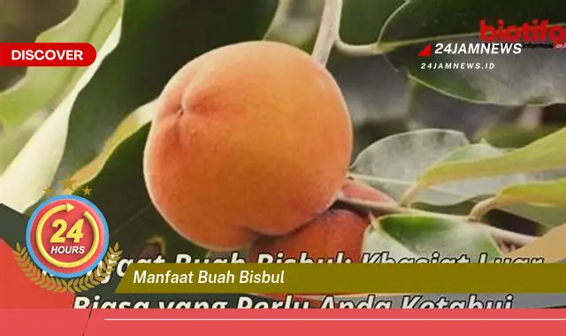 Temukan Manfaat Buah Bisbul untuk Kesehatan Tubuh Anda Temukan Manfaat Buah Bisbul untuk Kesehatan Tubuh Anda