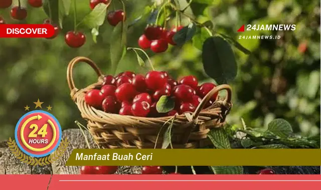 Temukan Manfaat Buah Ceri untuk Kesehatan Tubuh Anda