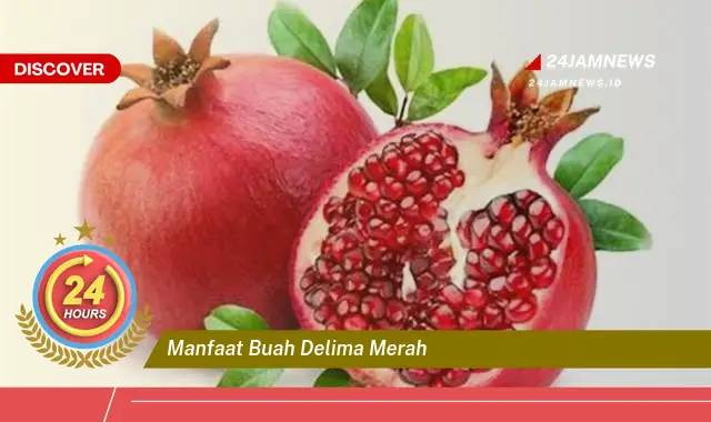 Temukan Manfaat Buah Delima Merah untuk Kesehatan Tubuh Anda