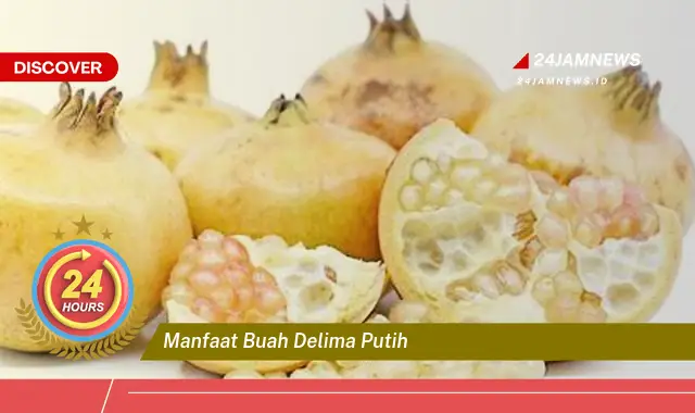 Temukan Manfaat Buah Delima Putih untuk Kesehatan Anda yang Luar Biasa