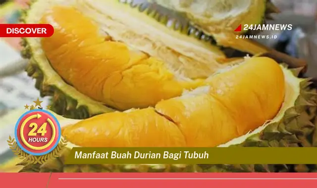 Temukan Manfaat Buah Durian bagi Tubuh, Panduan Lengkap untuk Kesehatan Anda