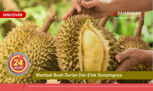 Temukan Manfaat Buah Durian untuk Kesehatan dan Efek Samping yang Perlu Diwaspadai