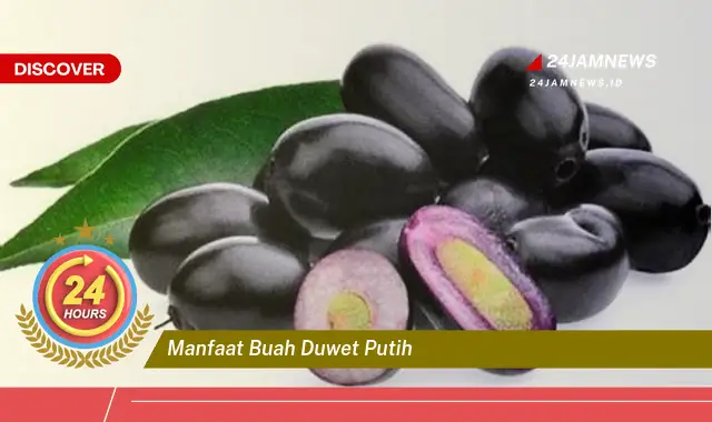 Temukan Manfaat Buah Duwet Putih untuk Kesehatan Anda