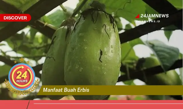 Temukan Manfaat Buah Erbis untuk Kesehatan Tubuh Anda