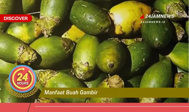 Temukan Manfaat Buah Gambir untuk Kesehatan Tubuh Anda