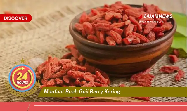 Temukan Manfaat Buah Goji Berry Kering untuk Kesehatan dan Kecantikan Anda