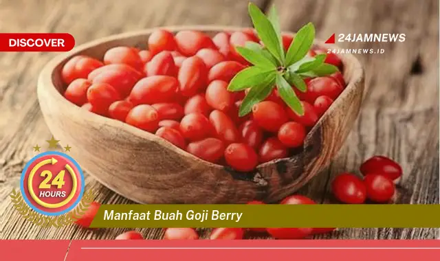 Temukan Manfaat Buah Goji Berry untuk Kesehatan Tubuh Anda