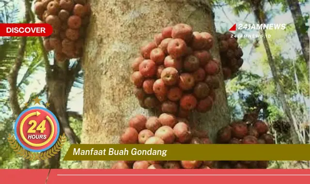 Temukan Manfaat Buah Gondang untuk Kesehatan Tubuh Anda