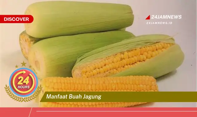 Temukan Manfaat Buah Jagung untuk Kesehatan, Dari Meningkatkan Pencernaan Hingga Menyehatkan Jantung