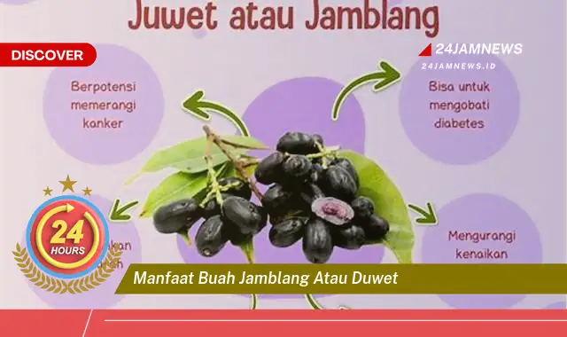 Temukan Manfaat Buah Jamblang atau Duwet untuk Kesehatan Anda Temukan Manfaat Buah Jamblang atau Duwet untuk Kesehatan Anda