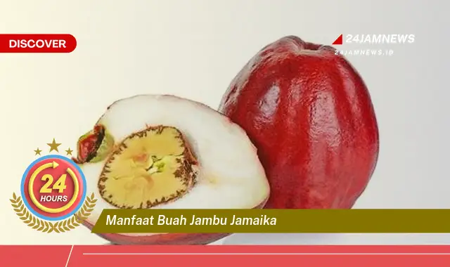 Temukan Manfaat Buah Jambu Jamaika untuk Kesehatan Anda