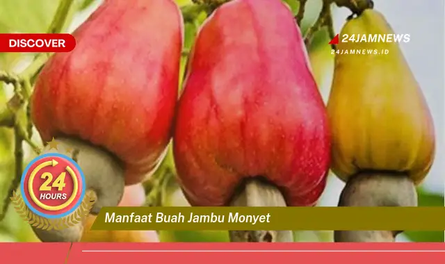 Temukan Manfaat Buah Jambu Monyet untuk Kesehatan Anda yang Luar Biasa