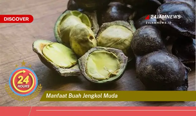 Temukan Manfaat Buah Jengkol Muda untuk Kesehatan Anda