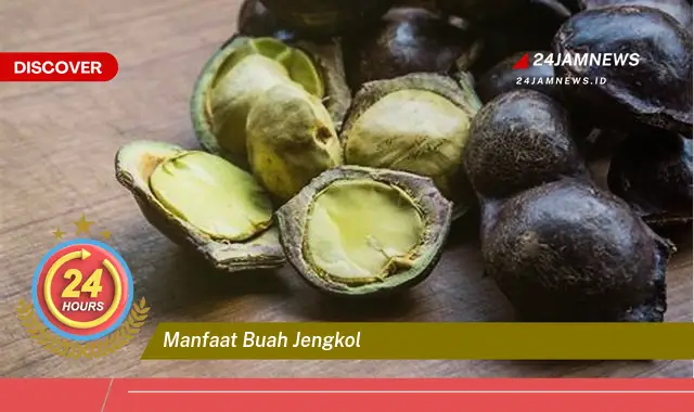 Temukan Manfaat Buah Jengkol untuk Kesehatan Anda yang Menakjubkan