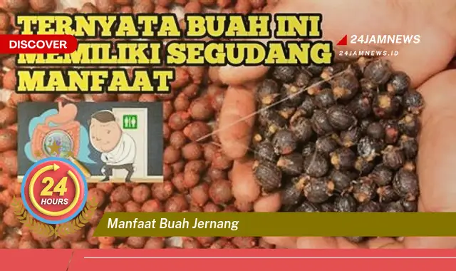 Temukan Manfaat Buah Jernang untuk Kesehatan Anda yang Menakjubkan
