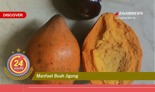 Temukan Manfaat Buah Jigong untuk Kesehatan Anda yang Menakjubkan