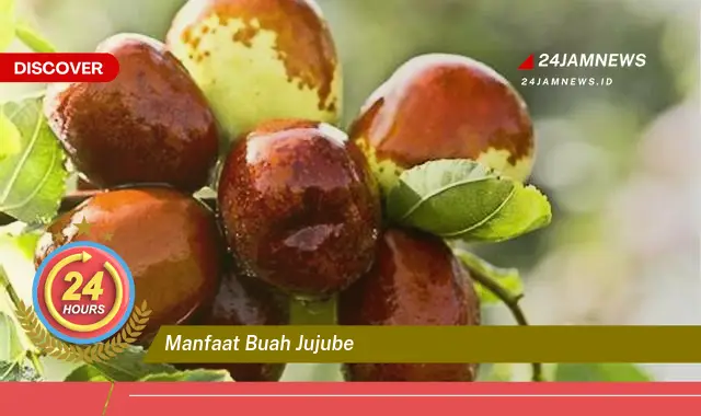 Temukan Manfaat Buah Jujube untuk Kesehatan, Meningkatkan Imunitas, Menyehatkan Jantung, dan Lainnya