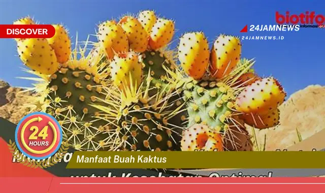 Temukan Manfaat Buah Kaktus untuk Kesehatan, Kecantikan, dan Lainnya