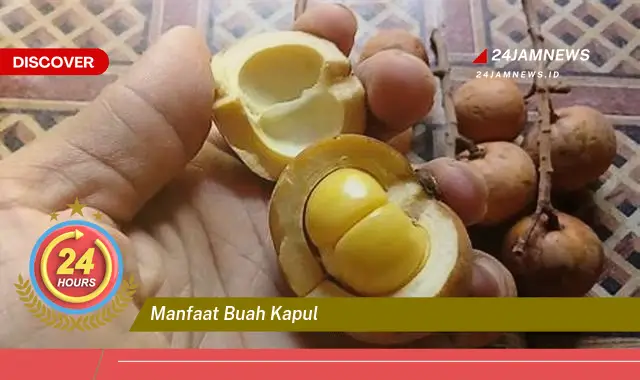 Temukan Manfaat Buah Kapul untuk Kesehatan Tubuh Anda