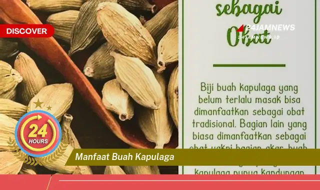 Temukan Manfaat Buah Kapulaga untuk Kesehatan Anda yang Luar Biasa