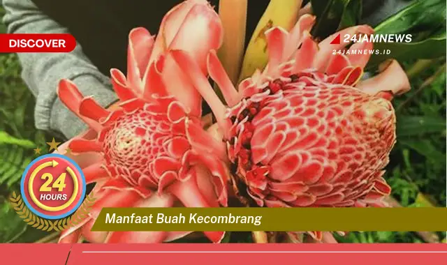 Temukan Manfaat Buah Kecombrang untuk Kesehatan Tubuh Anda