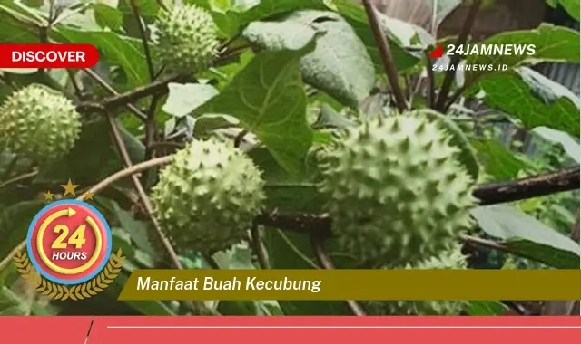 Temukan Manfaat Buah Kecubung, Keamanan, Efek Samping, dan Panduan Penggunaan yang Tepat